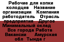 Рабочие для копки колодцев › Название организации ­ Компания-работодатель › Отрасль предприятия ­ Другое › Минимальный оклад ­ 1 - Все города Работа » Вакансии   . Амурская обл.,Тында г.